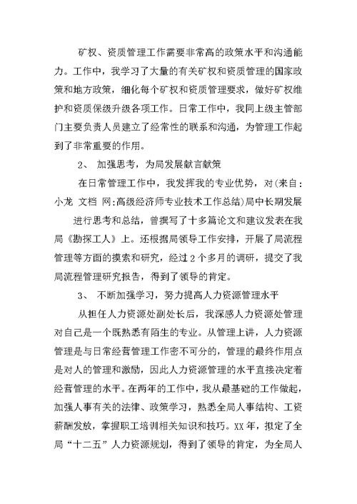 高级经济师专业技术工作总结