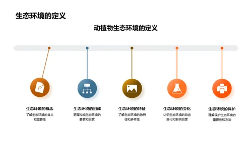 动植物生态探秘