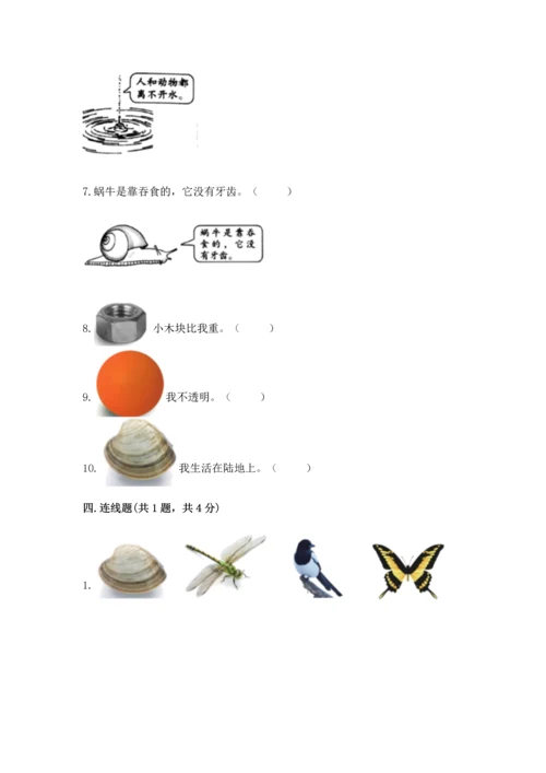 教科版一年级下册科学期末测试卷及参考答案（研优卷）.docx