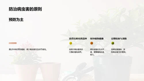 植物养护：小白到专家之路