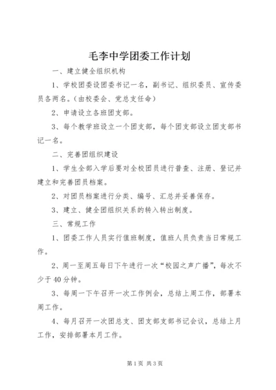 毛李中学团委工作计划 (2).docx