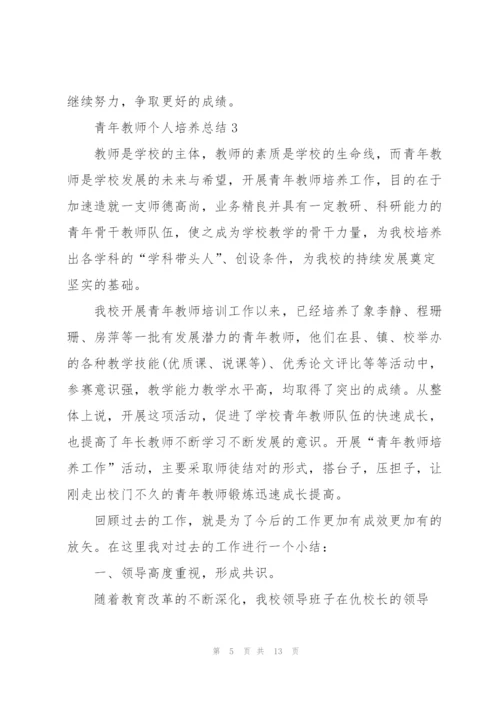 青年教师个人培养总结5篇.docx