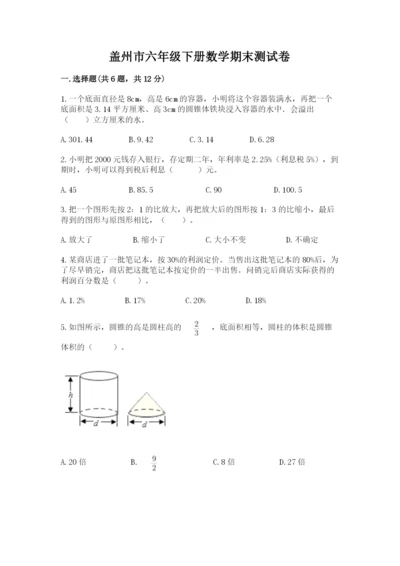盖州市六年级下册数学期末测试卷（研优卷）.docx