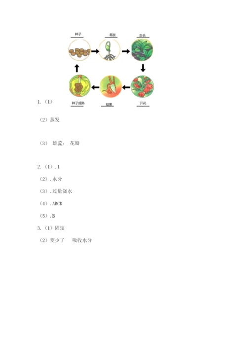 科学四年级下册第一单元植物的生长变化测试卷word.docx