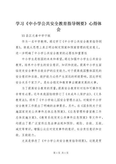 学习《中小学公共安全教育指导纲要》心得体会.docx