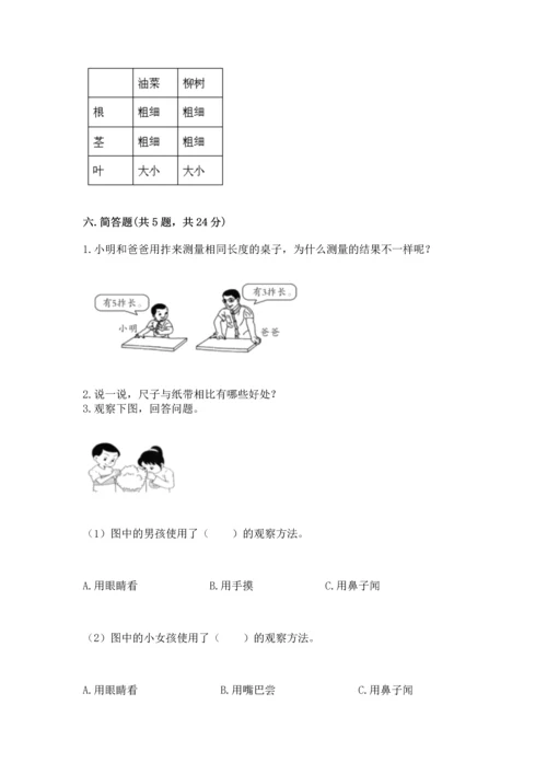 教科版小学一年级上册科学期末测试卷【必刷】.docx