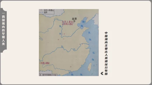 中学历史课人类起源《北京人》通用PPT模板