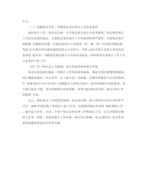 精编之乡镇统计的工作计划范文.docx