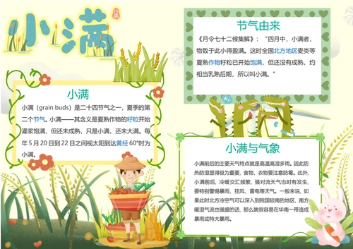 小满传统节气Word小报