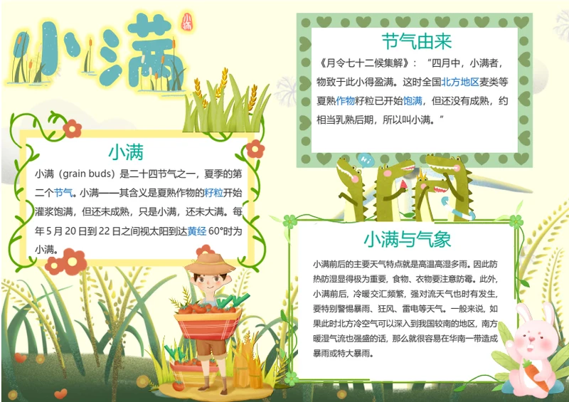 小满传统节气Word小报