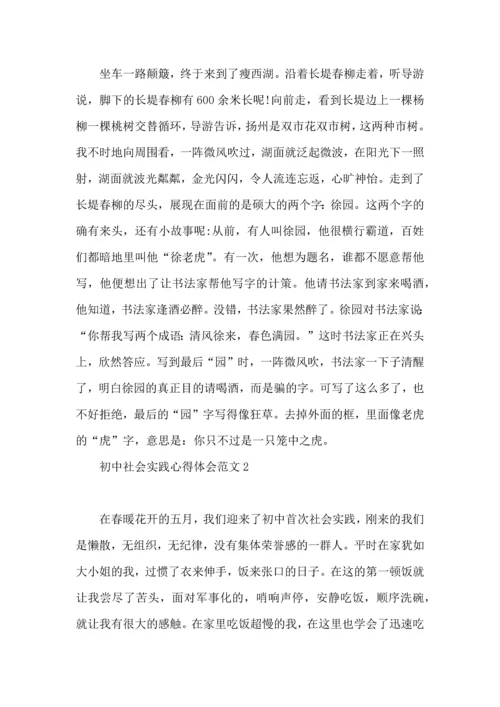 初中社会实践心得体会范文.docx