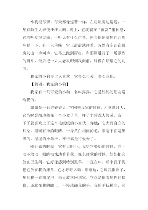 关于小狗的作文500字.docx