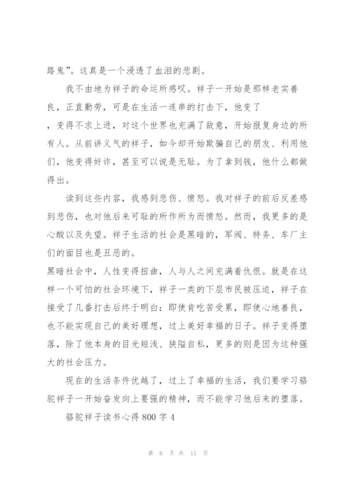 骆驼祥子小说读书心得800字5篇.docx