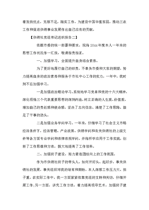 供销社党组书记述职报告