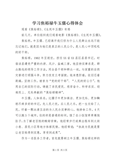 学习焦裕禄牛玉儒心得体会.docx