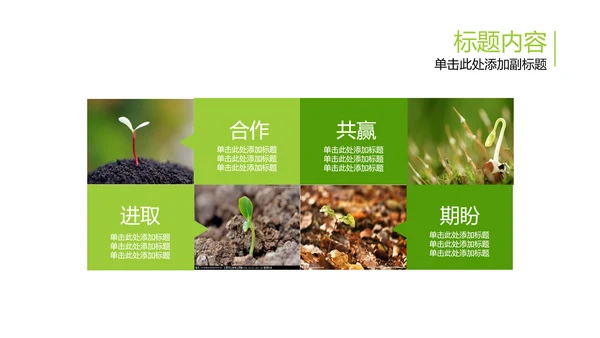 开场视频片头小苗生长发芽开花ppt模板