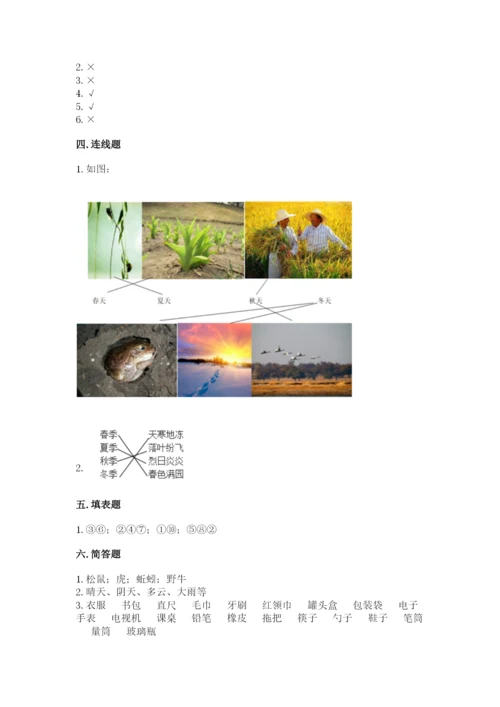 教科版小学二年级上册科学期末测试卷及完整答案（夺冠系列）.docx