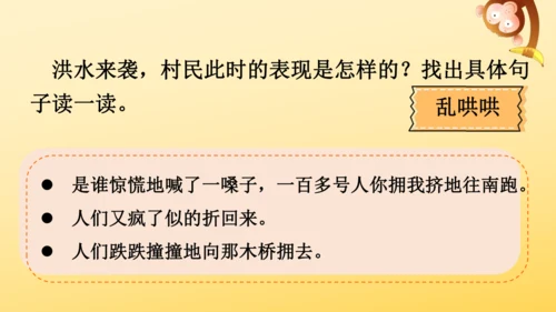 13 桥   课件