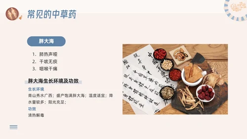 蓝色简约神奇中药草PPT模板宣传PPT动态PPT中医药