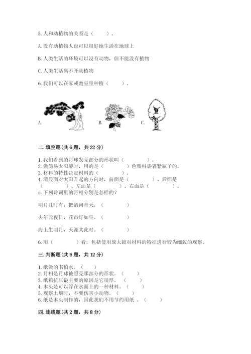教科版科学二年级上册《期末测试卷》含答案【培优b卷】.docx