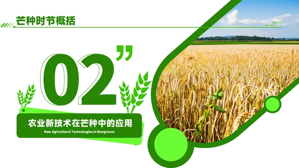 绿色商务风芒种时节农业新技术应用与推广