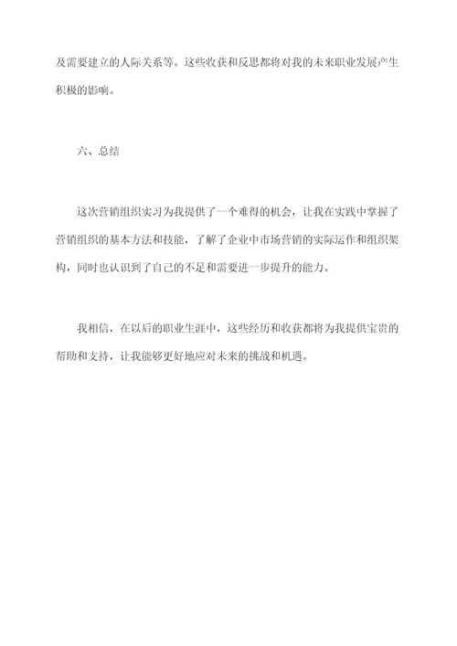 营销组织实习报告