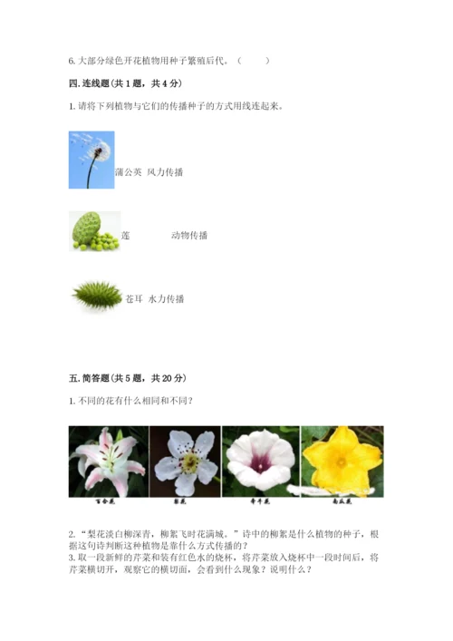 科学四年级下册第一单元植物的生长变化测试卷（综合题）.docx