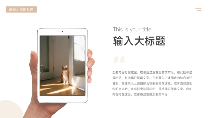 黄色个性时尚大气品牌服装介绍PPT模板