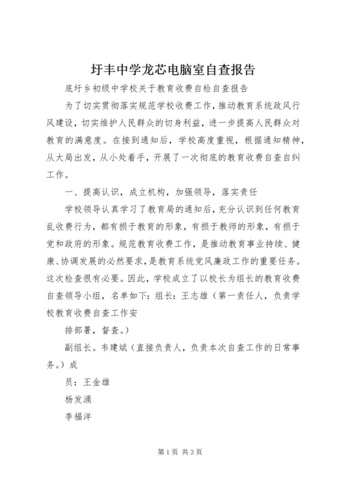 圩丰中学龙芯电脑室自查报告.docx
