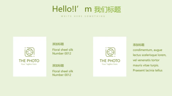 绿色蔬菜营养与健康动态PPT
