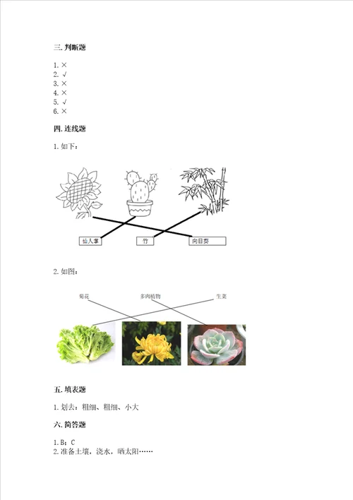 教科版科学一年级上册第一单元植物测试卷及参考答案考试直接用