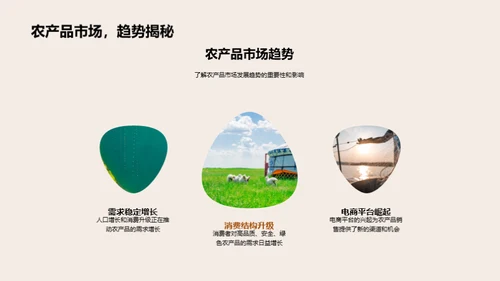 农业电商投资策略