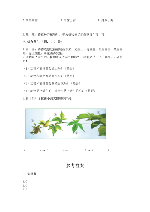 教科版科学一年级上册第一单元《植物》测试卷附答案【a卷】.docx