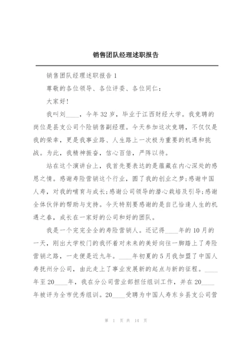 销售团队经理述职报告.docx