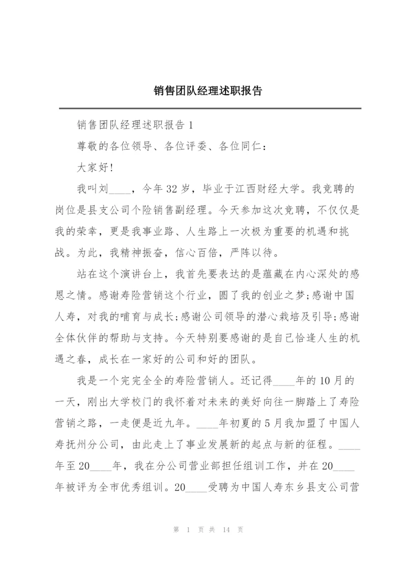 销售团队经理述职报告.docx