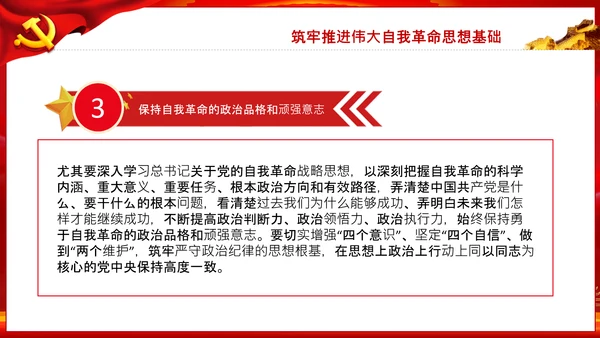 把新时代伟大自我革命推向纵深党课党支部PPT