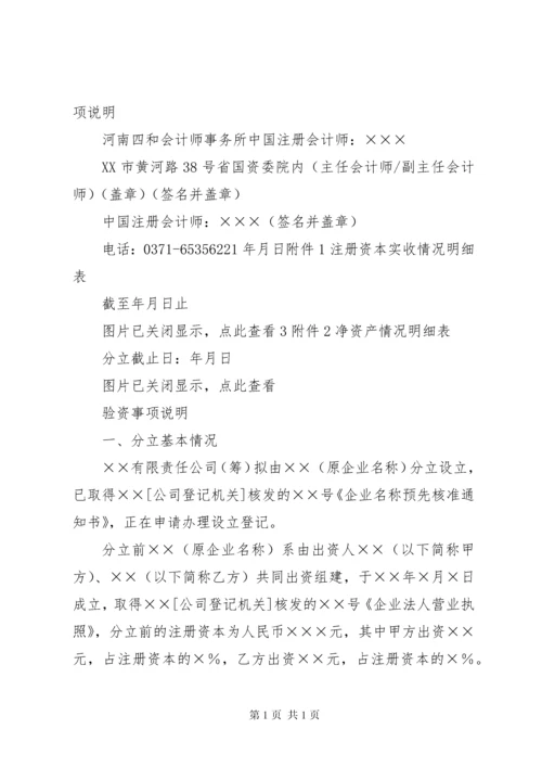 新成立公司验资报告(共8篇) (2).docx