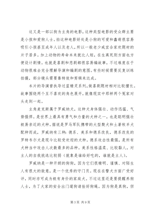 汪星卧底观后感大全.docx