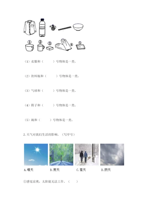 教科版科学二年级上册期末考试试卷（综合题）.docx
