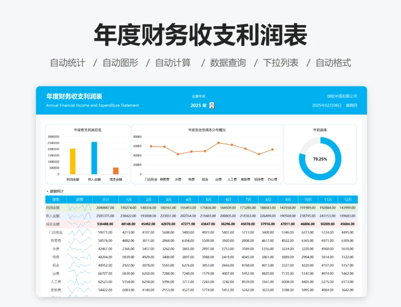 年度财务收支利润表