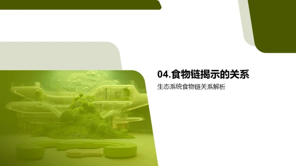 揭秘生态食物链