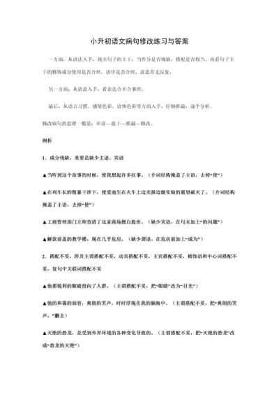 2023年小升初语文病句修改练习学生版.docx