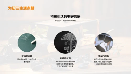 初三生涯感悟