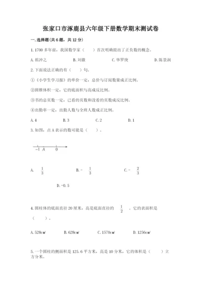 张家口市涿鹿县六年级下册数学期末测试卷及参考答案一套.docx