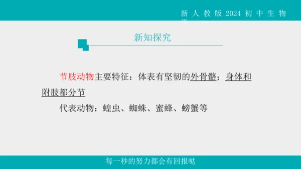 人教版生物七年级上册2.2.1《无脊椎动物》教学课件(共40张PPT)+视频素材