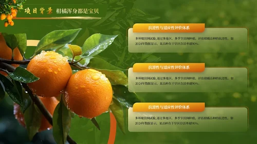 黄绿色高级创赛风农产品汇报PPT模板