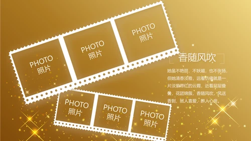 金色星光璀璨生日快乐纪念册电子相册动态PPT模板