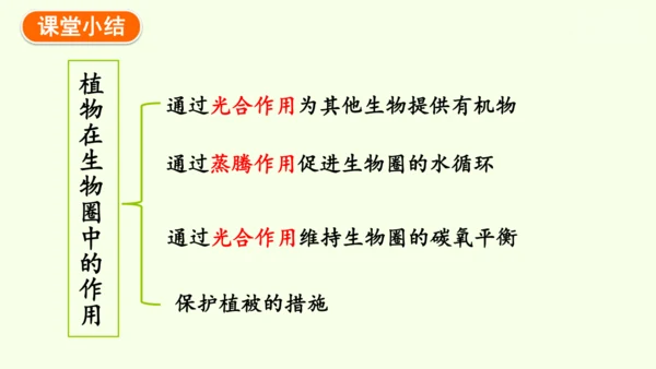 3.2.4植物在自然界中的作用-七年级生物下学期同步精品课件（2024人教版）(共27张PPT)