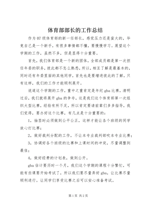 体育部部长的工作总结.docx