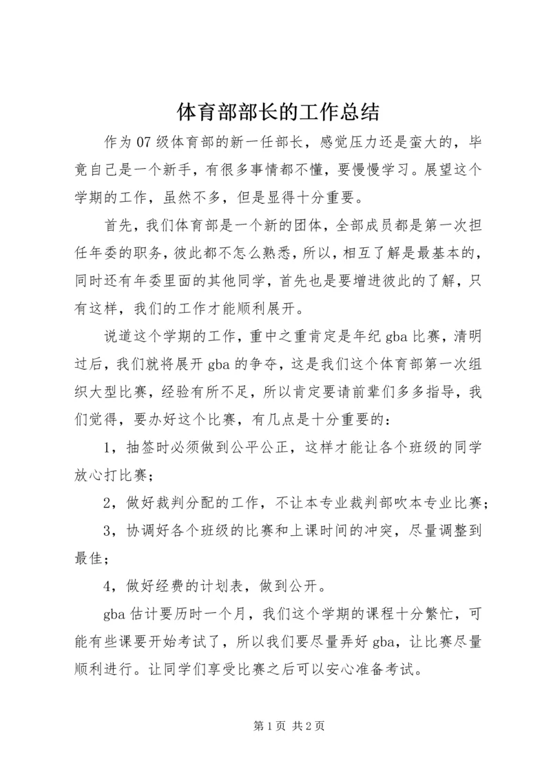 体育部部长的工作总结.docx